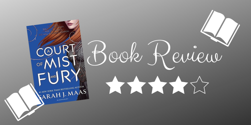 Book Review A Court Of Mist And Fury By Sarah J Maas The Last Book On The Left